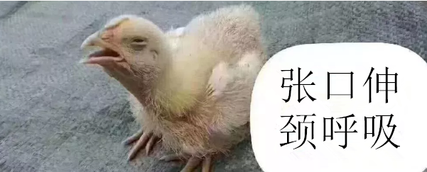 張口呼吸 張口呼吸