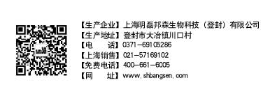 反面 反面