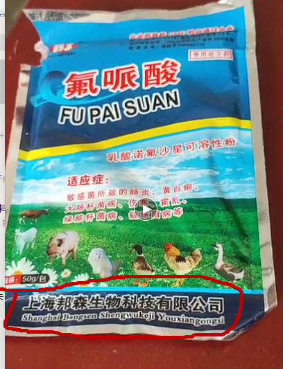 假_副本 假_副本