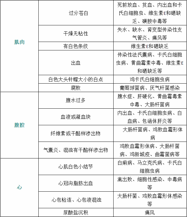 家禽疾病癥狀5 家禽疾病癥狀5