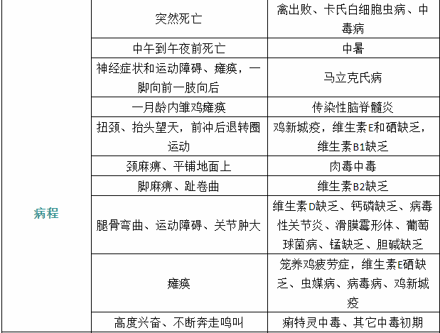 家禽疾病癥狀22 家禽疾病癥狀22