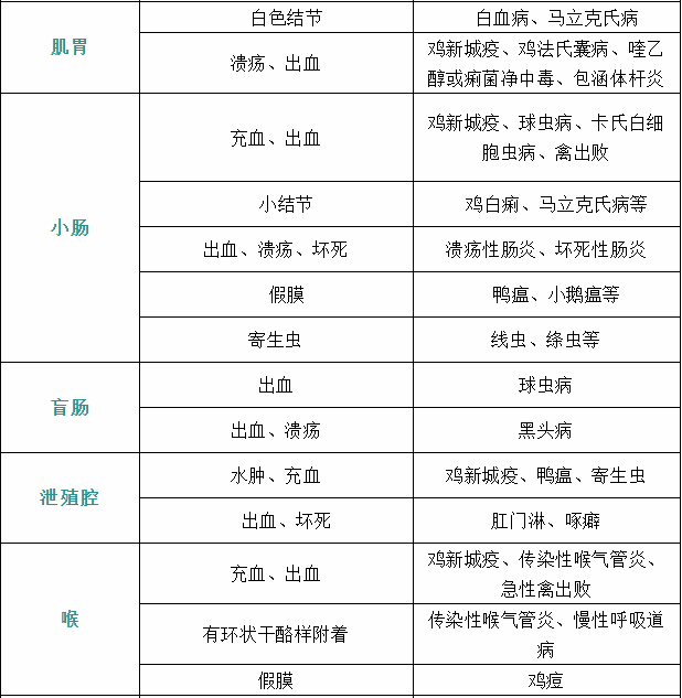 家禽疾病癥狀7 家禽疾病癥狀7