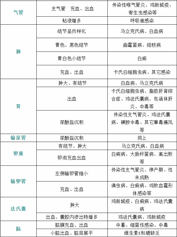 家禽疾病癥狀8 家禽疾病癥狀8