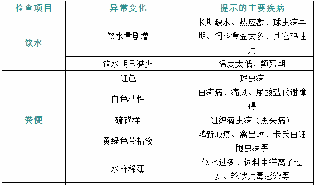 家禽疾病癥狀1 家禽疾病癥狀1