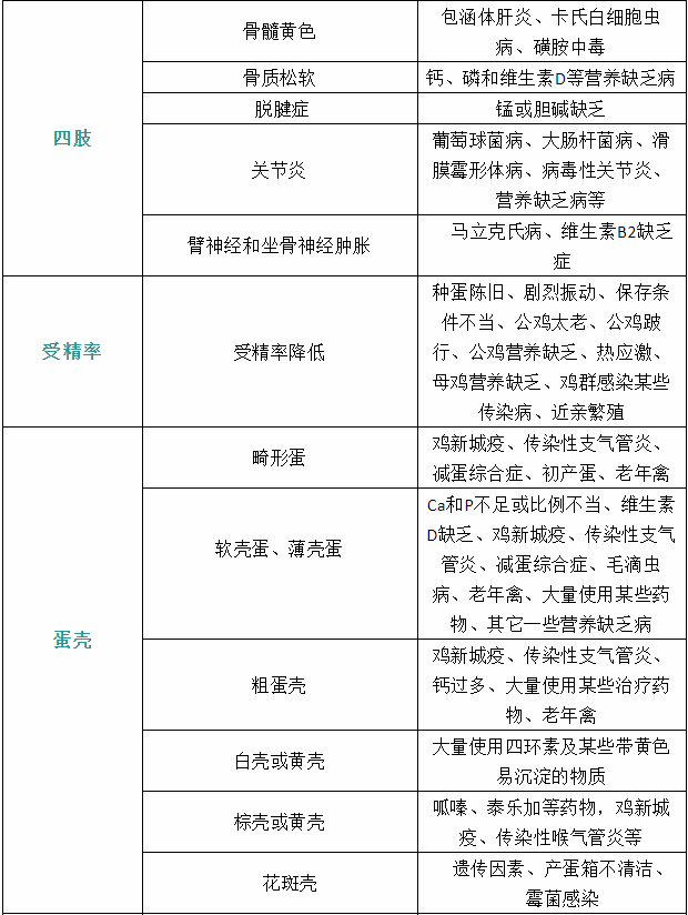 家禽疾病癥狀蛋殼 家禽疾病癥狀蛋殼