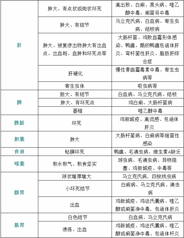 家禽疾病癥狀肝 家禽疾病癥狀肝