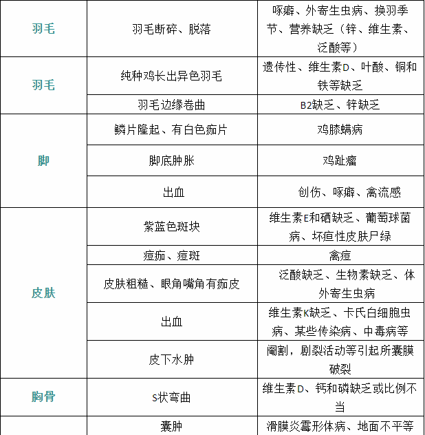 家禽疾病癥狀4 家禽疾病癥狀4
